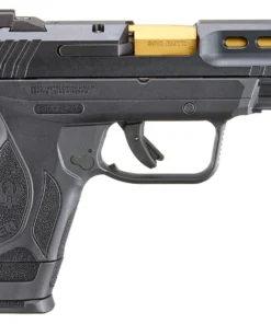 Ruger Security-380 380 ACP Pistol with Titanium Nitride Barrel